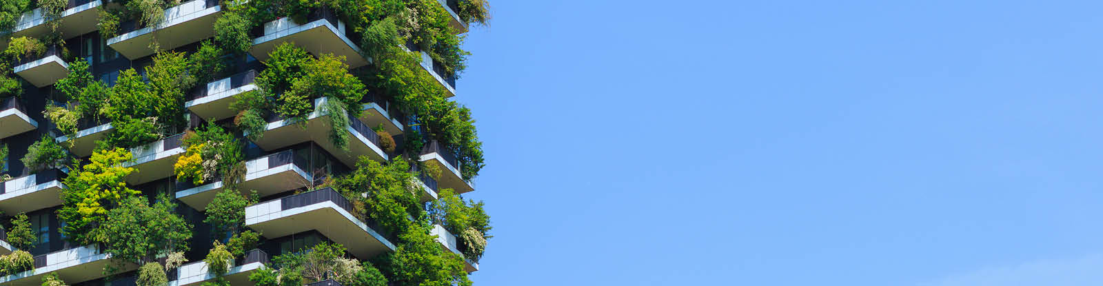 RIAI CPD Network Provider